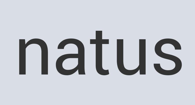 Incredible Leather Pet Pendants