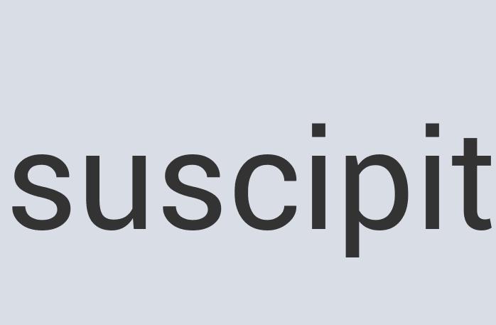 Ergonomic Paper Flying Tortoise