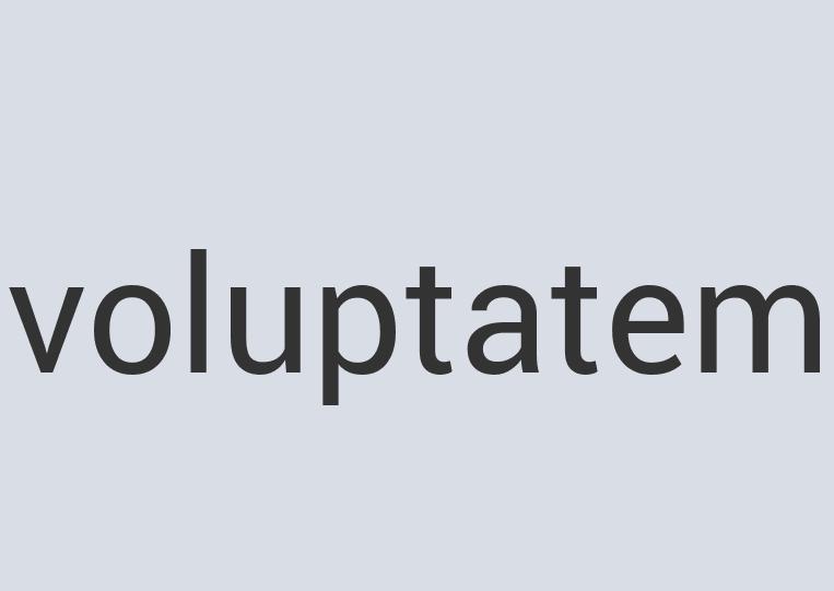 Rustic Wooden Magic Wand